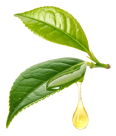 L-theanine
