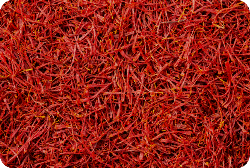 Close-up of dried saffron threads
