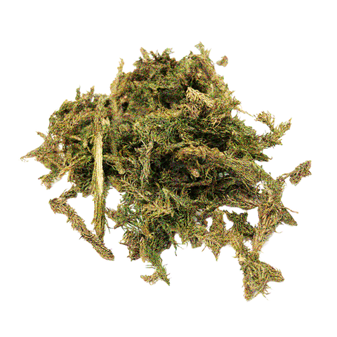 HUPERZINE A