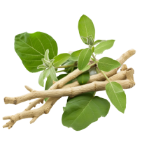 150mg Of Ashwagandha